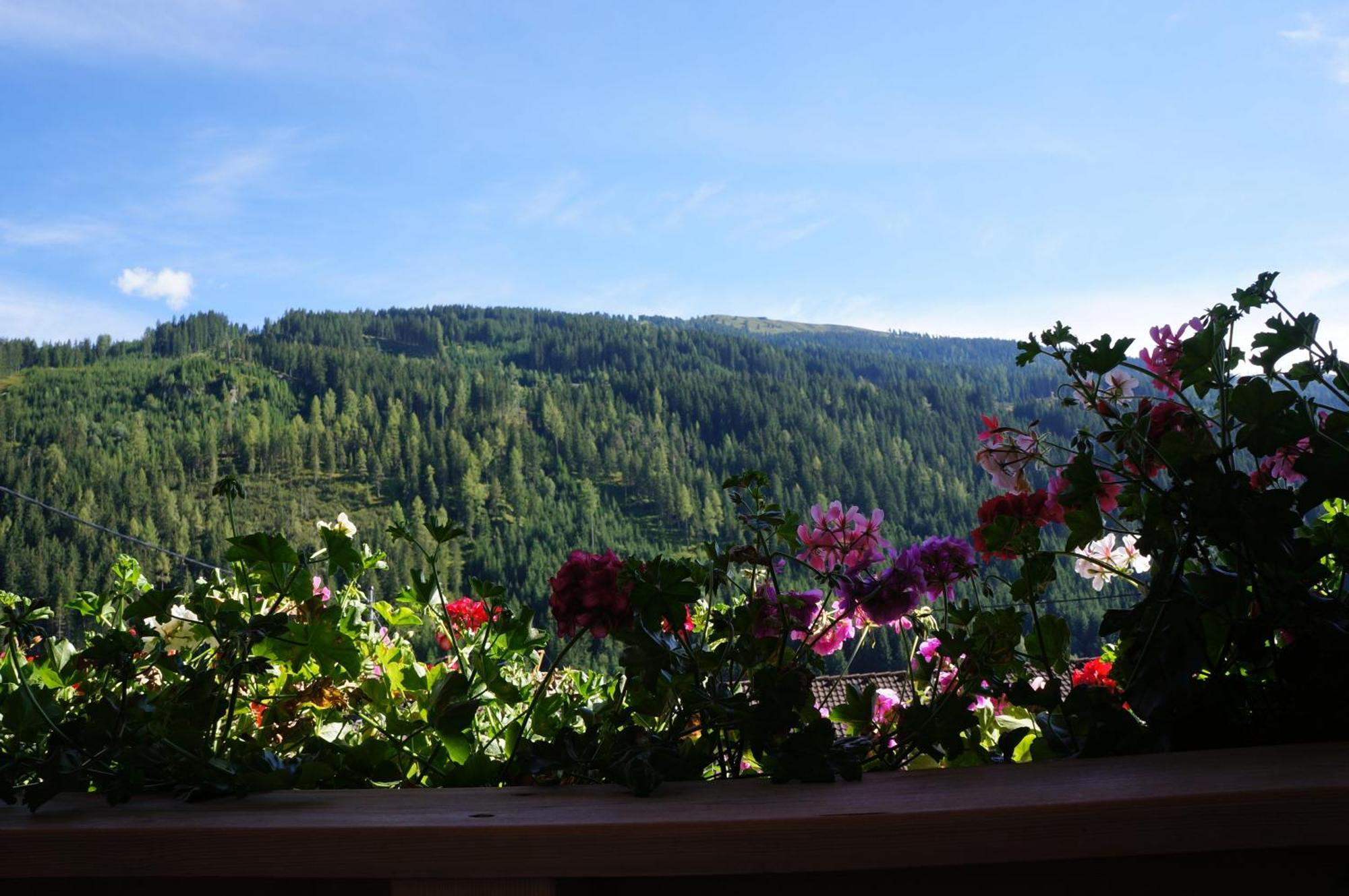Haus Dorfblick Hotel Gerlos Buitenkant foto